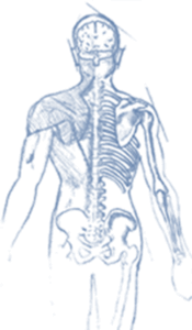 blue skeleton man